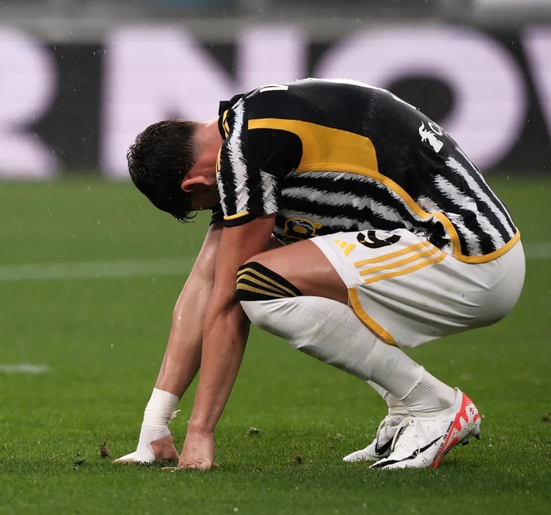 一支近年来 一支近年来