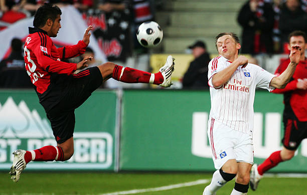 依然给予了 依然给予了